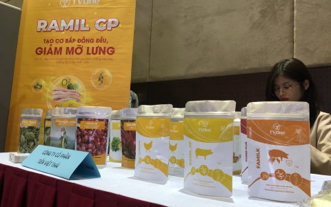 TVONE VIỆT NAM tham gia 